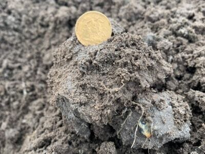 Nokta The Legend Smashes It Again - 1