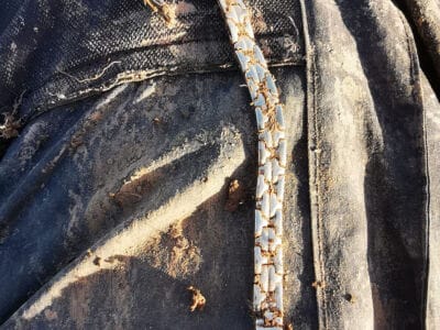 Absolutely Crazy Day Simplex+ Still Beasting It - 2