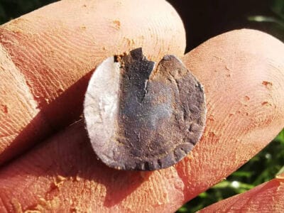 Absolutely Crazy Day Simplex+ Still Beasting It - 6