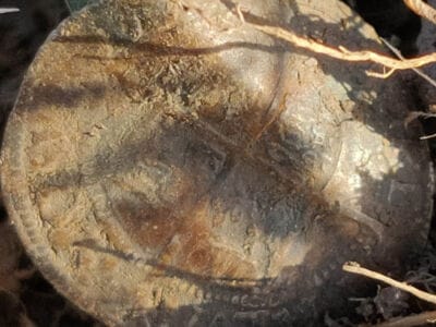 Got My First Hammered Coin Up Today - 3