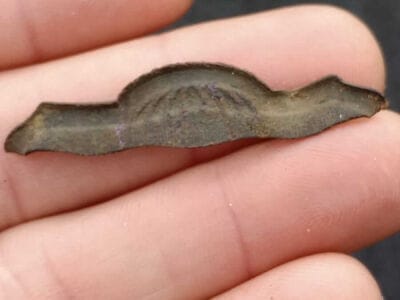 Went Out Last Sunday With My Buddy - 12