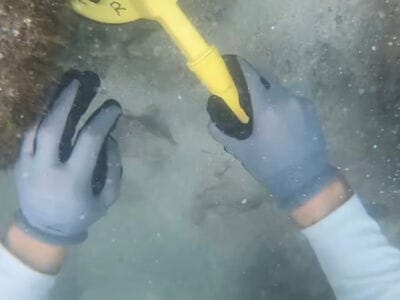 Discovering Sunken Riches: M/V Lilly May's PulseDive Successes - 3