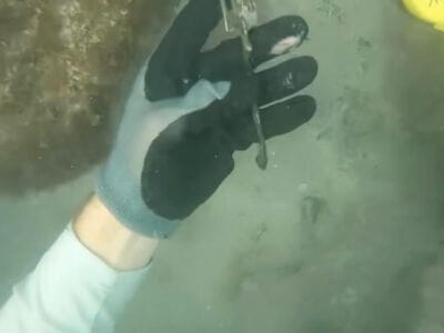 Discovering Sunken Riches: M/V Lilly May's PulseDive Successes - 4