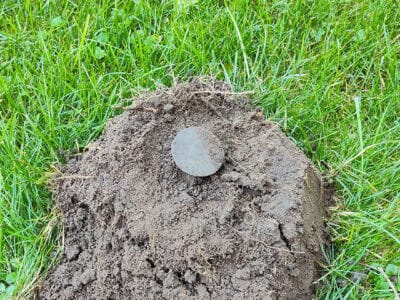 Just Joined A Small Club With This Stunner - 3