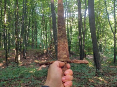 Medieval Sword Found with The Legend Detector - 4
