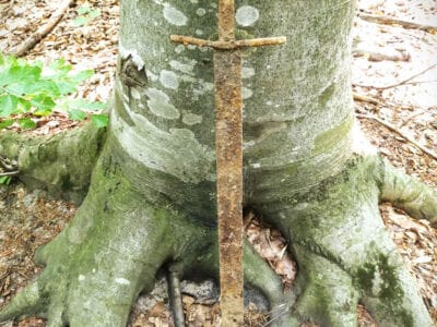 Medieval Sword Found with The Legend Detector - 6