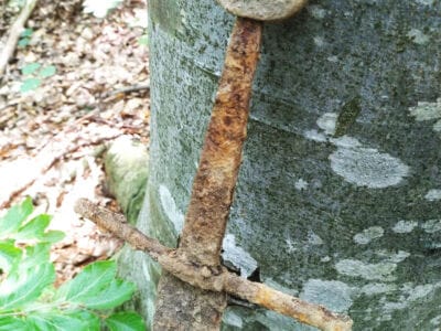 Medieval Sword Found with The Legend Detector - 7
