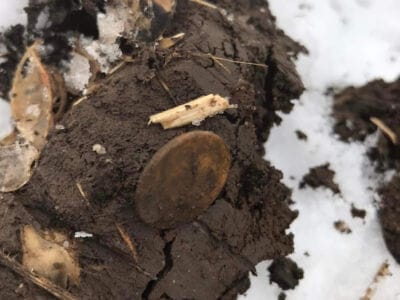 Yesterday Marked Our Final Hunt Of The 2023 Season - 5