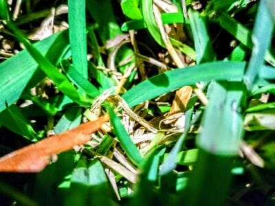 I Would Like Share This With You Guys - 3