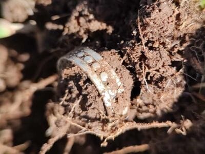 Went For A Quick Afternoon Hunt & Found Silver Ring - 1