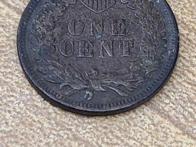 Lunchtime Hunt At An Old Demolished House - 3