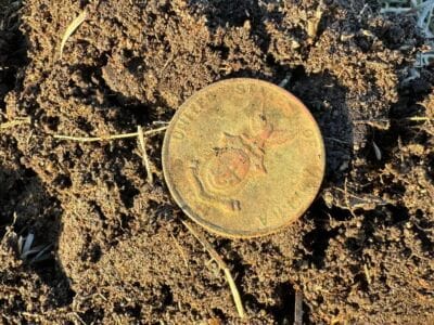 These Are My First Finds With My Legend - 3