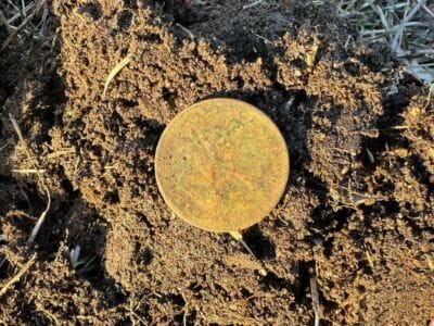 These Are My First Finds With My Legend - 4