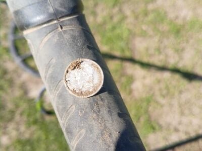 Today's Finds 1833 Capped Bust Half Dime - 5
