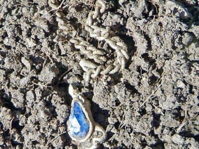 I Installed Beast Mode Today - 1