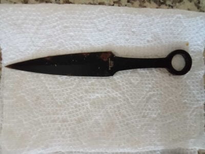 Another Great Days At The Local Park - 4