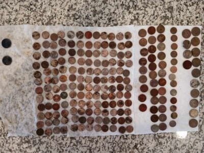 Another Great Days At The Local Park - 5