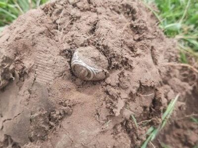 Broke My Silver Drought Today - 1