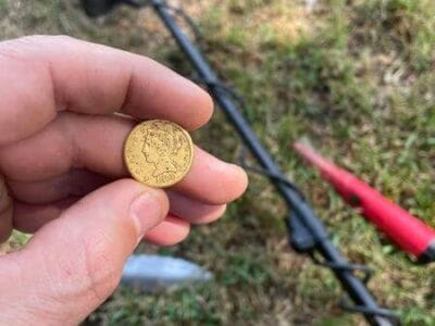 Pulled This Out Of The Ground A Few Weeks Ago - 2