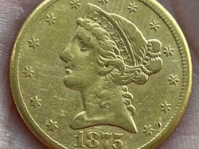 Pulled This Out Of The Ground A Few Weeks Ago - 3