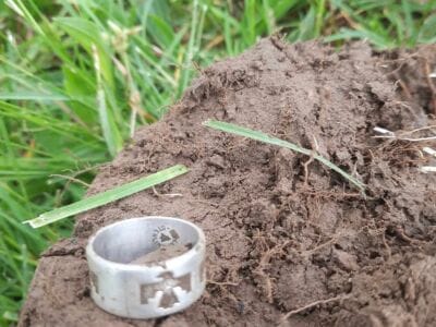 Thunderbird Fly,s Again - 1