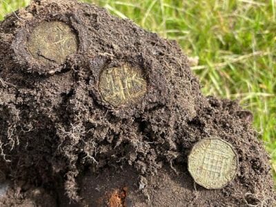 Made It Out Yesterday For a Few Hours - 3