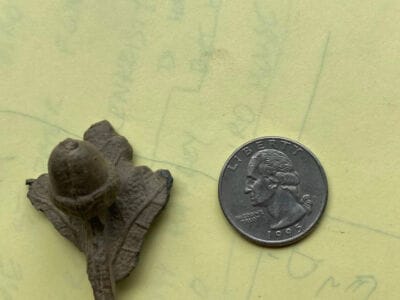 Another Extraordinary Invention Today with Simplex LITE - 1