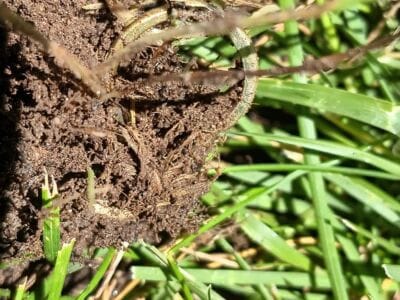 Three Day Finds With The Legend - 2