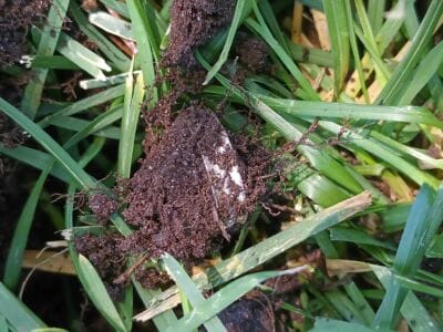 Three Day Finds With The Legend - 4