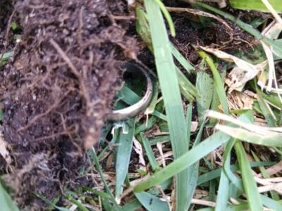 Three Day Finds With The Legend - 5