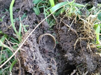 Another Awesome Day At The Local Park - 1