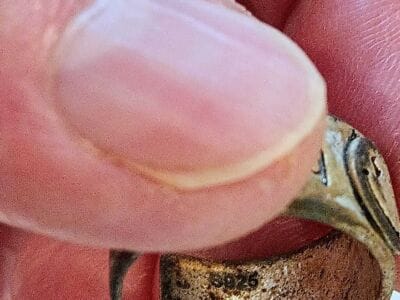 Another Awesome Day At The Local Park - 3