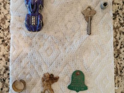 Another Awesome Day At The Local Park - 6