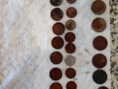 Another Awesome Day At The Local Park - 7