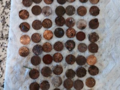 Another Awesome Day At The Local Park - 8