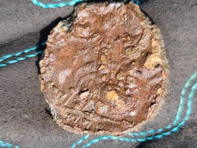 Behold What Comes Out of The Shoreline With The Legend - 1