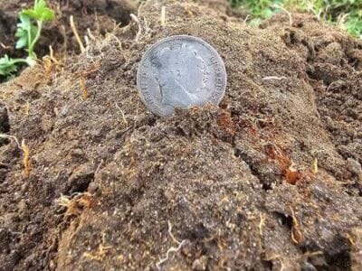 I Chose a Nokta Triple Score Metal Detector - 1