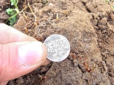 I Chose a Nokta Triple Score Metal Detector - 2