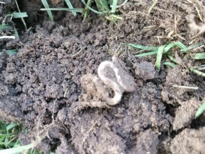 Another Amazing Day At The Local Park - 10