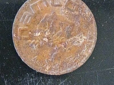 Another Amazing Day At The Local Park - 11