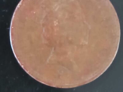 From Silver Ring to Foreign Coin: A Treasure Hunt in the Park - 10