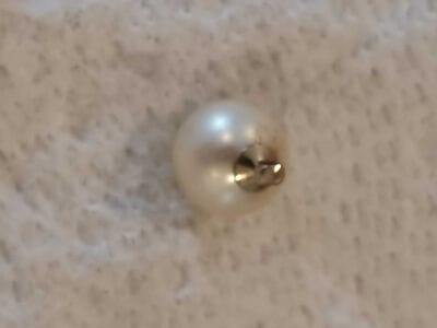 From Silver Ring to Foreign Coin: A Treasure Hunt in the Park - 5