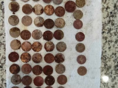 From Silver Ring to Foreign Coin: A Treasure Hunt in the Park - 8