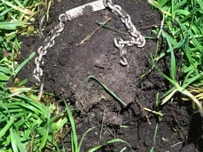 A Late Hunting In The Park Last Sunday - 1