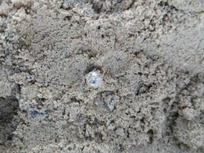 Another Awesome Day At The Local Park - 1