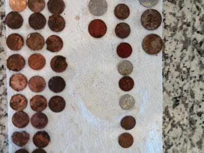 Another Awesome Day At The Local Park - 10