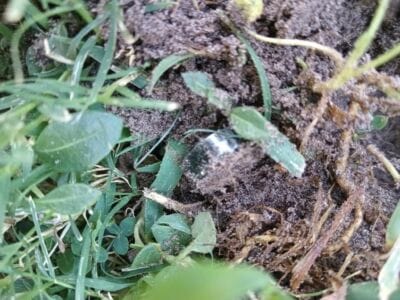 Another Awesome Day At The Local Park - 14