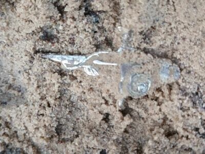 Another Awesome Day At The Local Park - 4