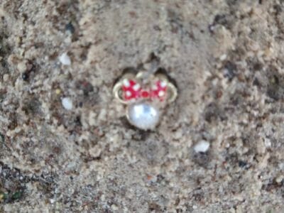 Another Awesome Day At The Local Park - 6