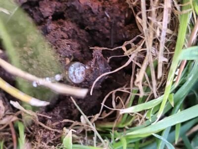 Sunrise Treasure Hunt: Rings, Coins & Hidden Gems! - 5